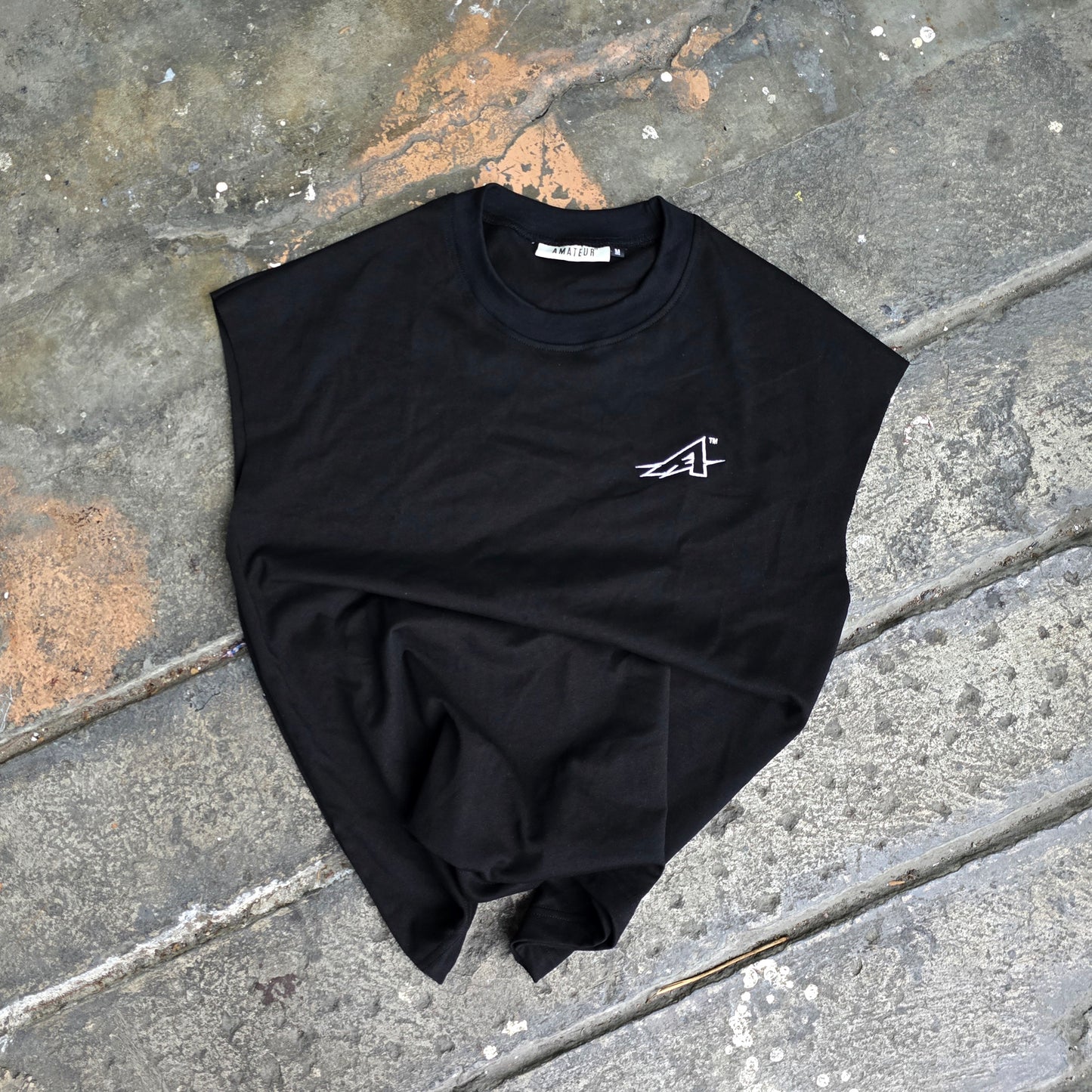 THE PRESENT AMATEUR MUSCLE TEES