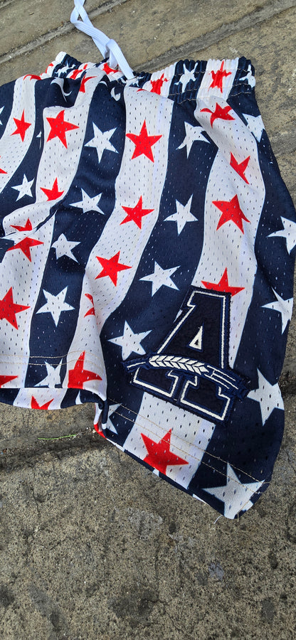 AMATEUR ALLSTAR BALLER SHORTS