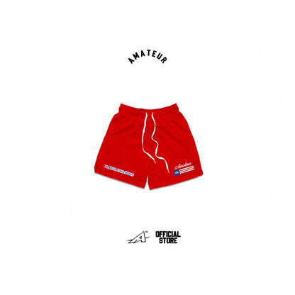 Amateur Flag Mesh Shorts